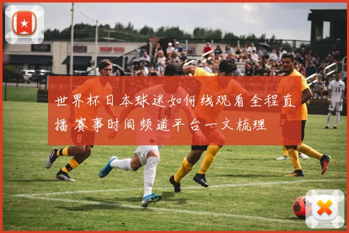 世界杯日本球迷如何线观看全程直播 赛事时间频道平台一文梳理