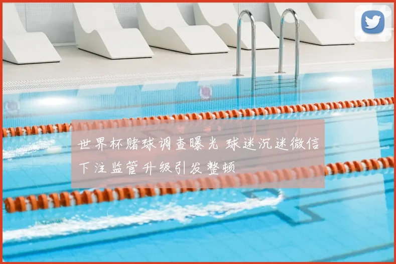 世界杯赌球调查曝光 球迷沉迷微信下注监管升级引发整顿