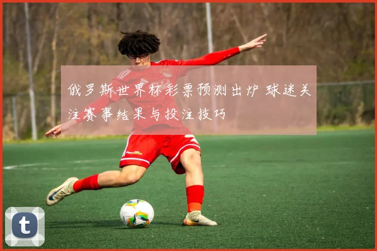俄罗斯世界杯彩票预测出炉 球迷关注赛事结果与投注技巧