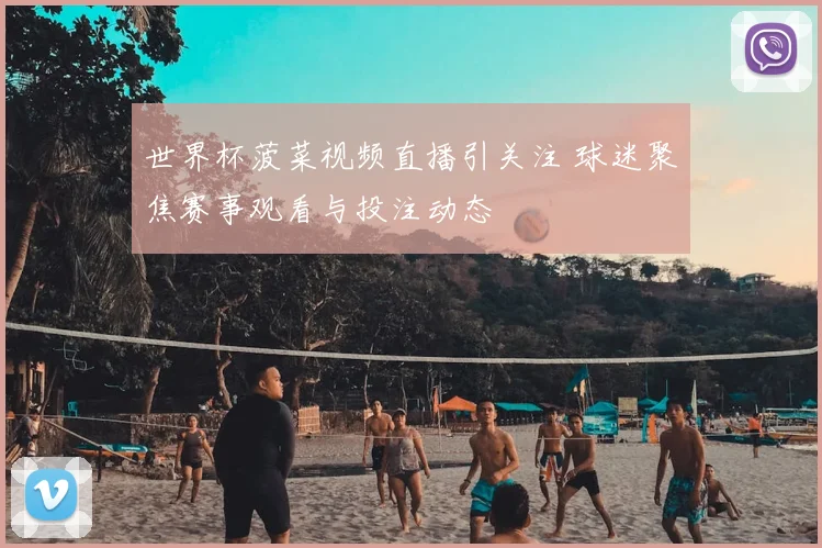 世界杯菠菜视频直播引关注 球迷聚焦赛事观看与投注动态