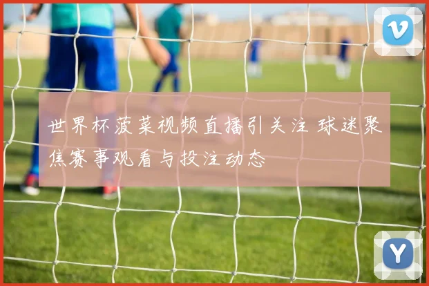 世界杯菠菜视频直播引关注 球迷聚焦赛事观看与投注动态