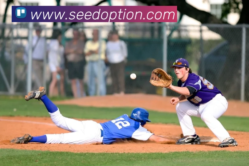 完美体育首页官网品牌故事